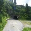 Ruta Moto monte-zoncolan--sp123- photo