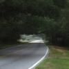 Motorcycle Road charleston--edisto-island- photo