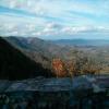 Motorcycle Road stuart-to-blue-ridge- photo