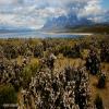 Motorcycle Road torres-del-paine- photo
